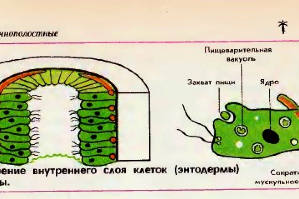 Kraken магазин ссылка