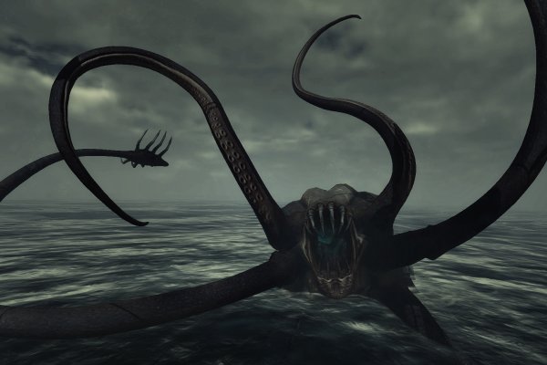 Kraken актуальное