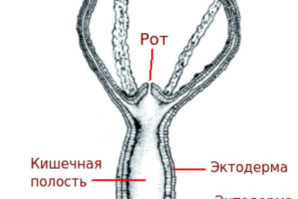 Кракена точка нет