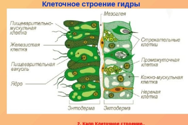 Как найти ссылку на кракен