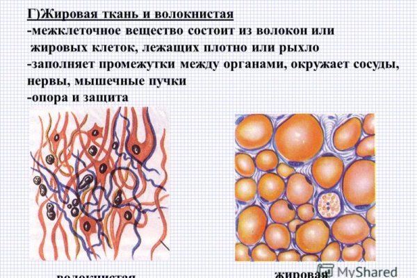 Как зайти на kraken в 2024